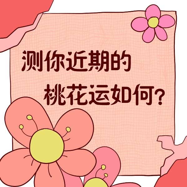 桃花运测试