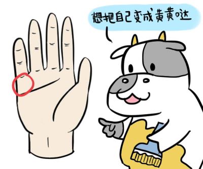手掌星丘怎么看今生运势