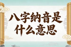 八字纳音是什么意思