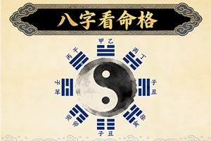 八字看命格
