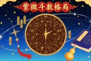紫微斗数格局