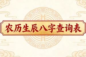 农历生辰八字查询表