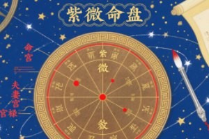 紫薇命盘