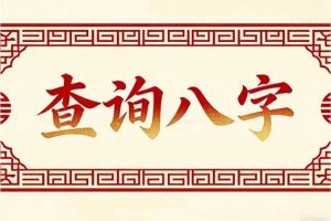 查询八字