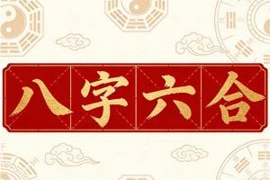 八字六合