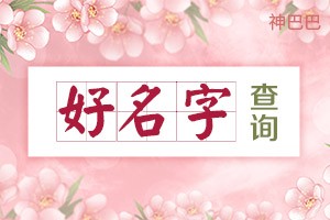 好名字查询