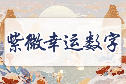 紫微幸运数字查询