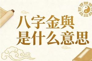 八字金舆是什么意思