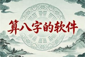 算八字的软件