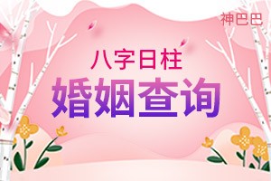 八字日柱婚姻查询