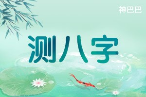 测八字