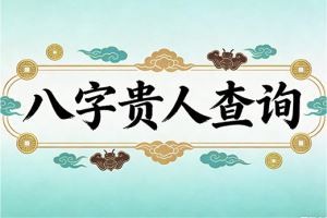 八字贵人查询