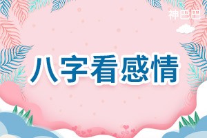 八字看感情