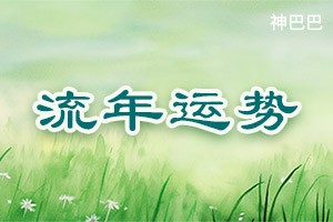 八字流年详批