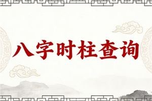 八字时柱查询