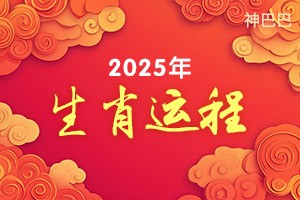 2025年生肖运程