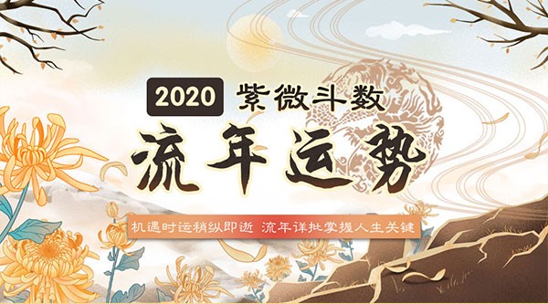 紫微斗数2020流年运势