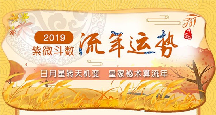 紫微斗数2019流年运势