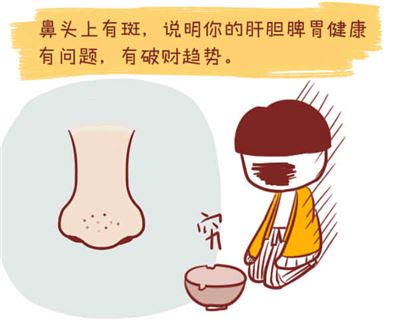 哪种鼻子最有福气？