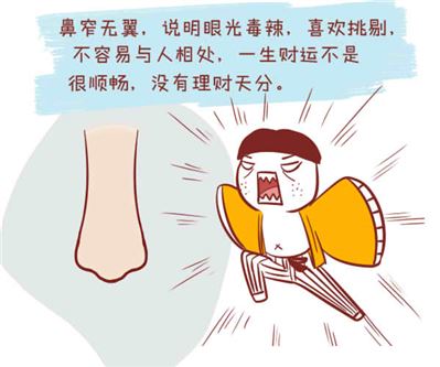 哪种鼻子最有福气？