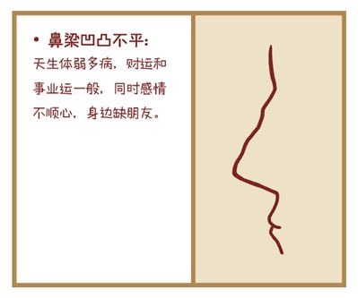 鼻梁面相图解大全！