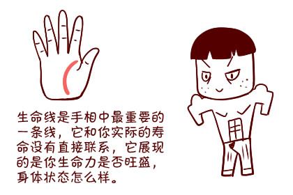 手掌中最重要的五条手纹线各代表什么意思？