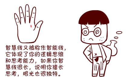 手掌中最重要的五条手纹线各代表什么意思？