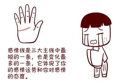 手掌中最重要的五条手纹线各代表什么意思？