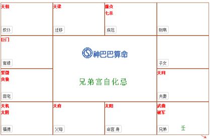 紫微排盘兄弟宫自化忌命运影响 神巴巴测试网