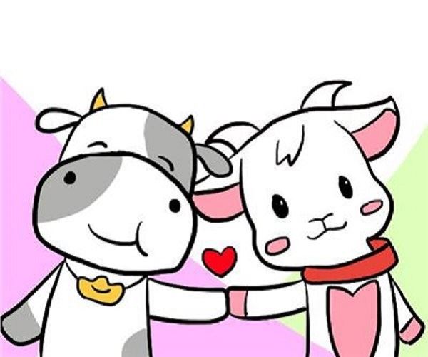 白羊女和金牛男配对