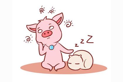 2019年属猪的运势不稳定，诸事不顺？