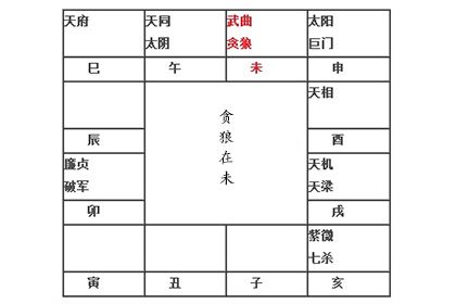 紫微命盘解析武曲贪狼在未宫 神巴巴测试网