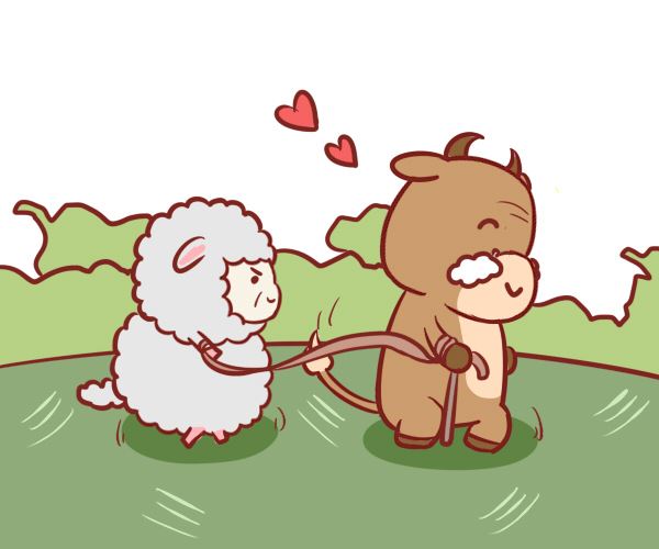 属牛的人爱情观是什么样子