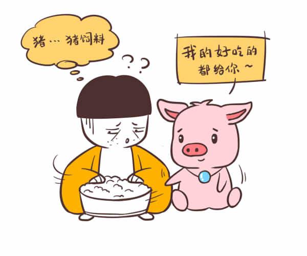 女属猪和男属鸡真的很相配吗
