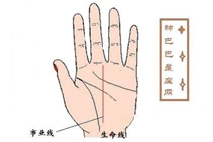 事业线和生命线分开的人事业心重，但体质较差！