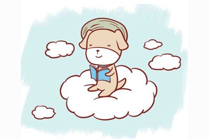 2019年属狗的运势尚佳,发展机会和局势较好!
