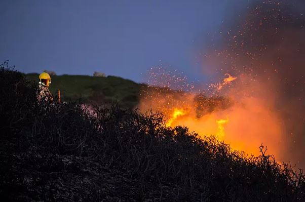 甲戌山头火是什么意思