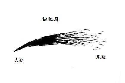 什么是扫把眉图片图片