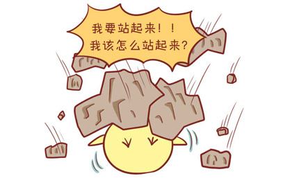 2019年属鸡的运势平平,一切要小心在意!