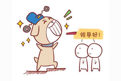 2019年属狗的运势尚佳,发展机会和局势较好!