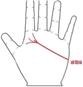 子运昌隆的手相感情线分叉图解 神巴巴星座网