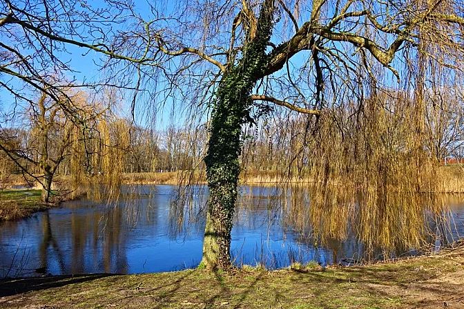 癸未年生杨柳木命好不好?杨柳木命最忌什么?