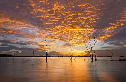 八字月柱流霞煞详解流霞在月柱什么意思