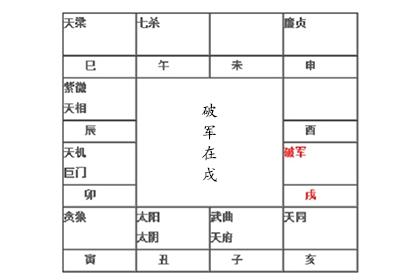 运入天罗图片