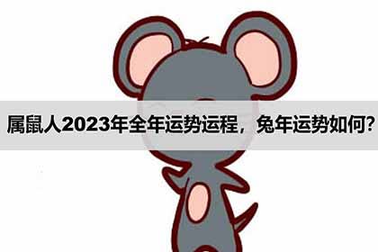 屬鼠人2023年全年運勢運程,兔年運勢如何?_神巴巴生肖網