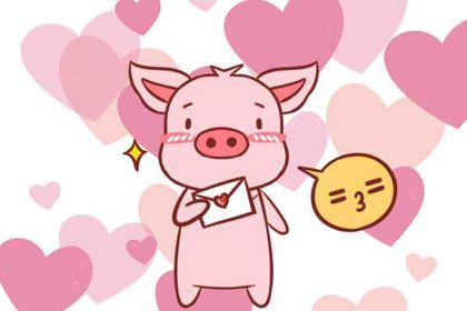 属猪的爱情弱点是什么 不够坚定 容易三心二意 神巴巴生肖网