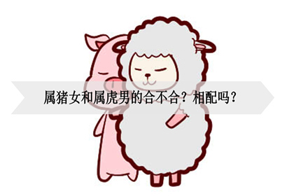 属猪女和属虎男的合不合?相配吗?