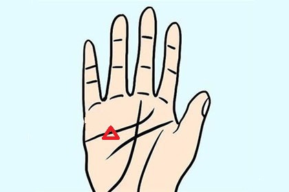 掌纹有三角形代表什么 是福还是祸呢 神巴巴星座网