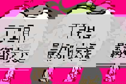 丁丑日最好的大运,走什么大运好?_神巴巴测试网