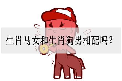 生肖马女和生肖狗男相配吗